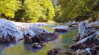 The sound of the river, the murmur of water, the voices of birds. 12 hours for study, work, sleep.