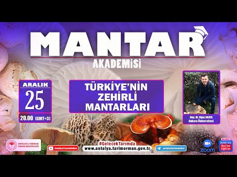 Video: Ukrayna'da trüf mantarının yetiştiği ayrılmış yerler