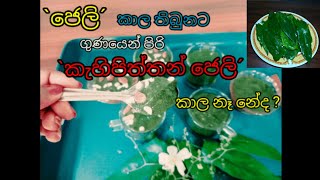 ජෙලි කාලා තිබුනට මෙච්චර ගුණ කැහිපිත්තන් ජෙලි කාල තියෙනවද  ?️? | හරිම පහසුවෙන් හදාගන්න පුලුවන්