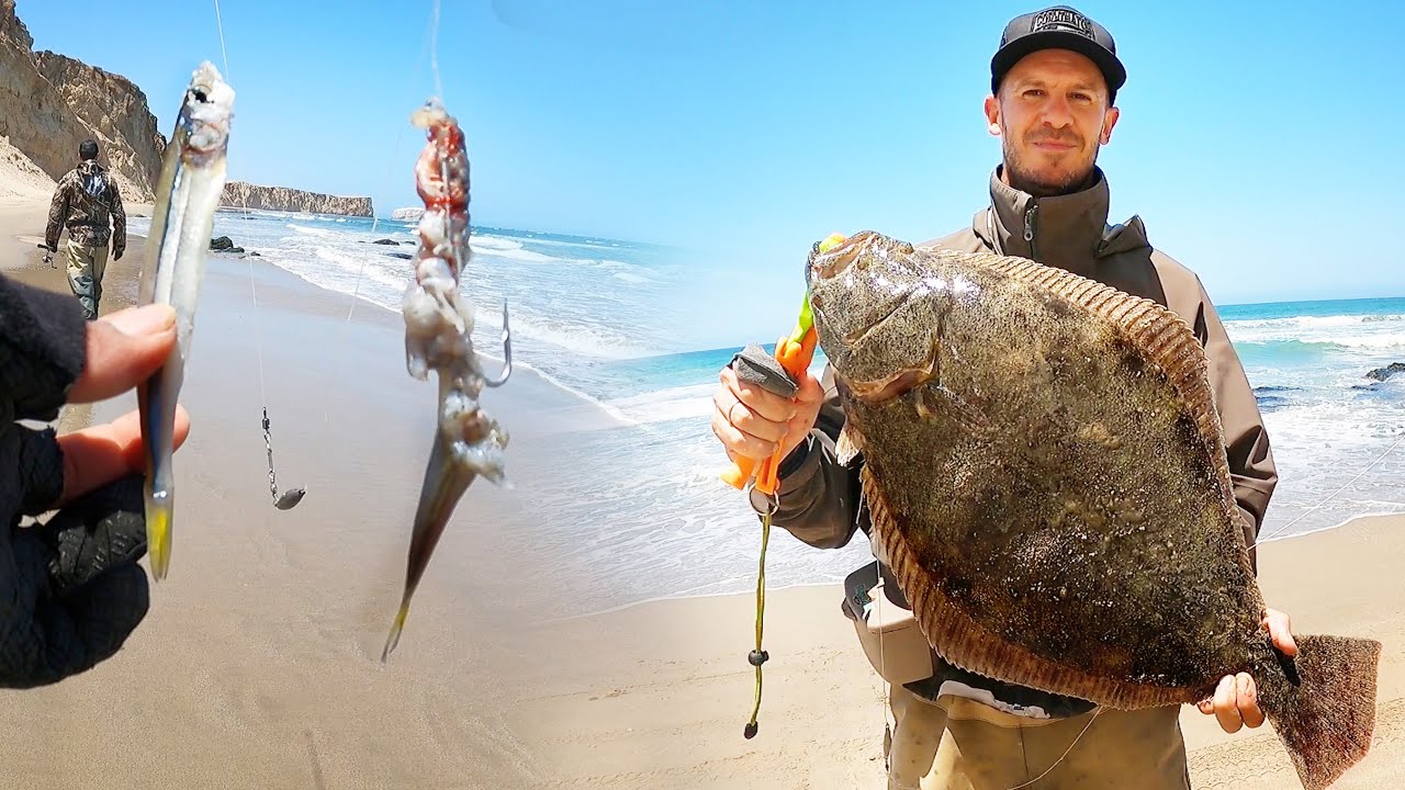 grandes LENGUADOS con pejerrey