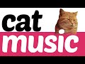 Soothing Cat Music - Deep Sleep Sounds for Cats - Endless Music for Cats Stream