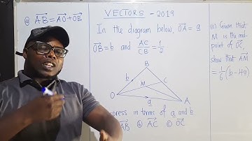 VECTORS Paper 2 | Everything you need to know