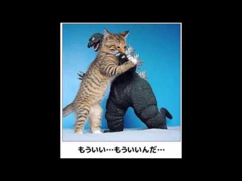ボケて 最新殿堂入り 腹筋崩壊の おもしろ画像 まとめ 54