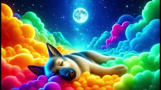 German Shepherd Lullaby:Soothing Music Under the Starry Sky #lullaby #sleep #relaxing #pets #calm