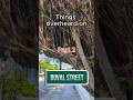 Things Overheard on Duval St. Part 2