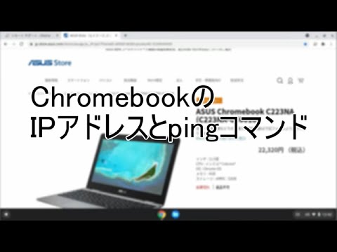 ChromebookのIPアドレスとpingコマンド