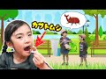 食べれるクワガタとカブトムシ!おかしな昆虫キャンディ