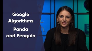 Google Algorithms | Panda and Penguin