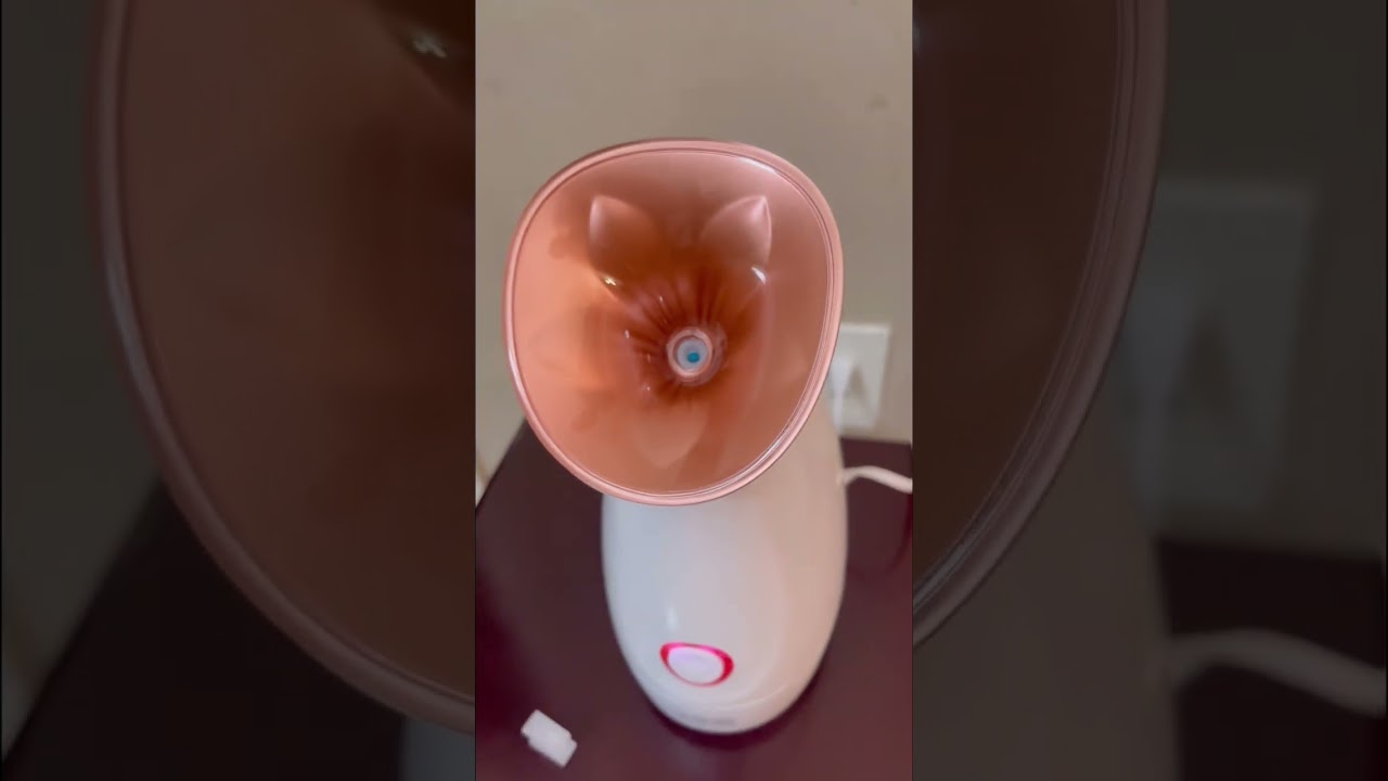 Facial Steamer Reveiw 