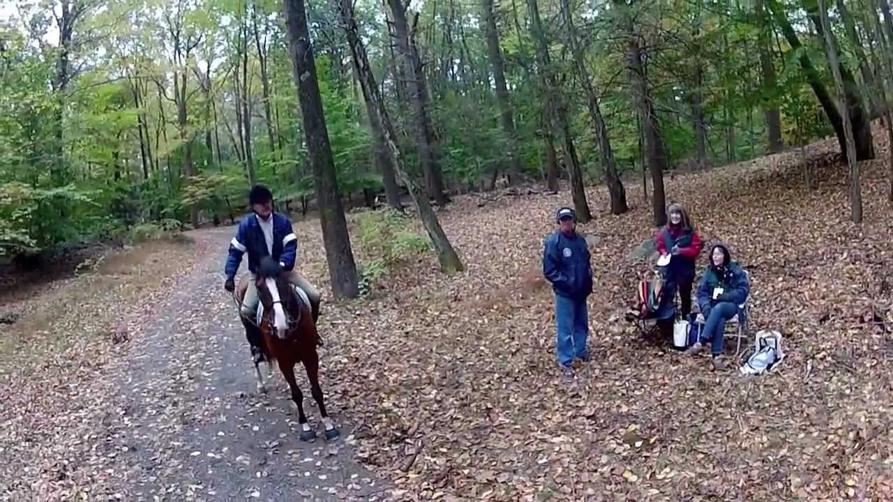 FRSP & Westchester Horse Council 11th Annual Country Pace at Rockwood