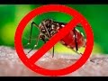 Супер! Уничтожитель комаров Посылки из Китая с Алиэкспресс