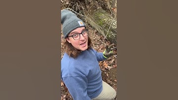 Trapping on Public Land! #trapping #predators #predatorcontrol #publicland