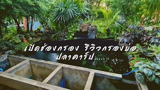 รีวิว ช่องกรองบ่อปลาคาร์ป ทำเองง่ายๆ สไตล์คน #จัดสวนเองเด้อ...