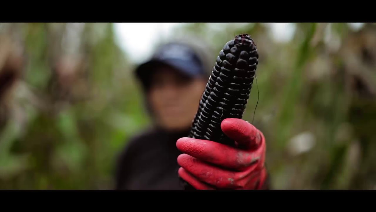 Black Whiskey - Single Malt Andean Corn Whiskey