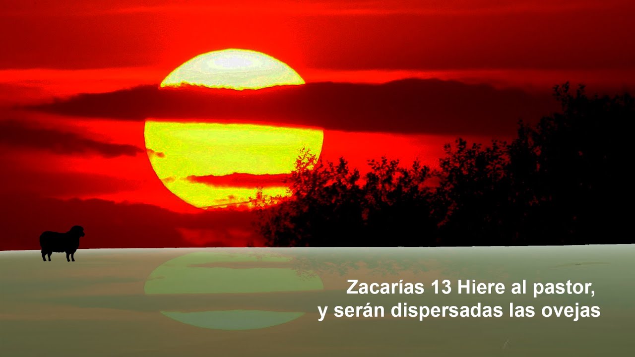 Zacarías 13 Hiere al pastor, y serán dispersadas las ovejas - YouTube