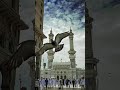 Islamic shorts #shorts #love #trending #ytshorts #viral #video #islamic