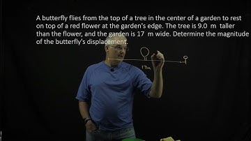 Mastering Physics 1.30 Explained! A butterfly flies from the top of a tree in the center of a garden