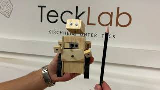 Tecklab Homeprojekt - Spitzroboter