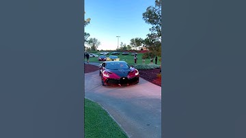 Bugatti Divo, Chiron, & Veyron🤍