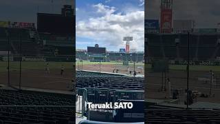 #Teruaki Sato #battingpractice #hanshintigers #npb #japanesebaseball #佐藤輝明