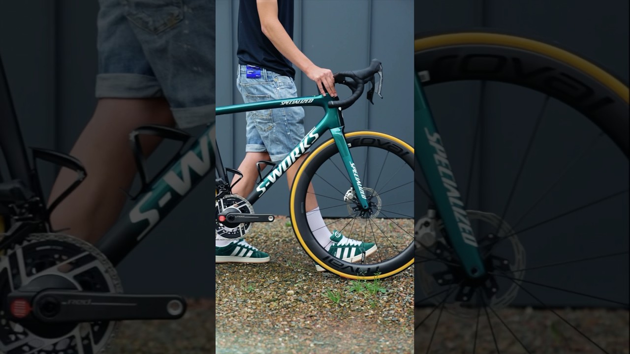 Tarmac SL8 S-Works „Bora Team Edition“ 💚 