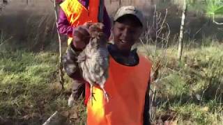 Billy Bolin III First Quail Hunt | 2015