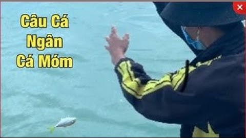 Câu Cá Biển | Buổi Câu Cá Vui Nhất Cá Ăn Dày Cần Thủ Ngồi Đặc Cảng Cá Đại Lãnh