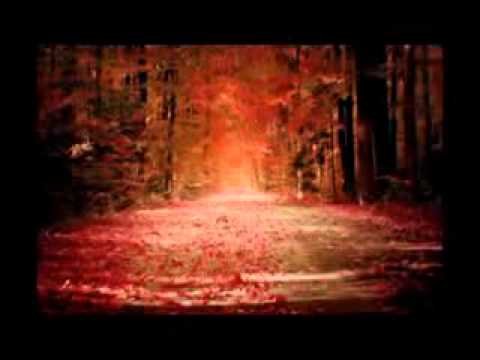 Verxvis potolta ვერხვის ფოთოლთა.avi