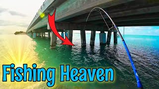 Florida Keys Fishing Underneath ALL the Bridges (NON-STOP Action) by Mental Health Day 7,681 views 3 weeks ago 18 minutes