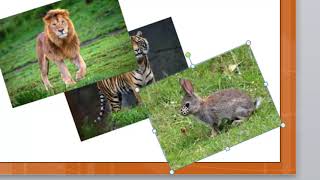 Powerpoint Part 3: Rotating, Grouping, and Ordering Pictures + Adding Autoshapes