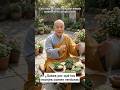Verduras de hoja verde que los monjes comen a diario #mtc #bienestar