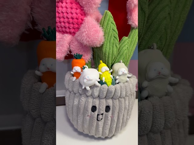 明後日発売‼️