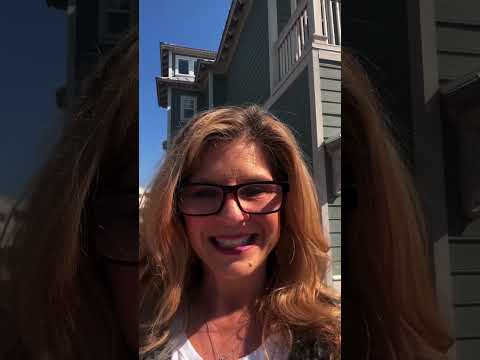 Thumbnail for The Short Term Shop