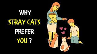Why Stray Cats Choose Some People Over Others ? | Can Cats Tell Gender?