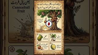 Urdu Gk quiz dhamaka se phatne wala ped #shorts #gk #quiz