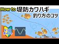 【堤防カワハギ】釣り方のコツ ～5つのポイント～