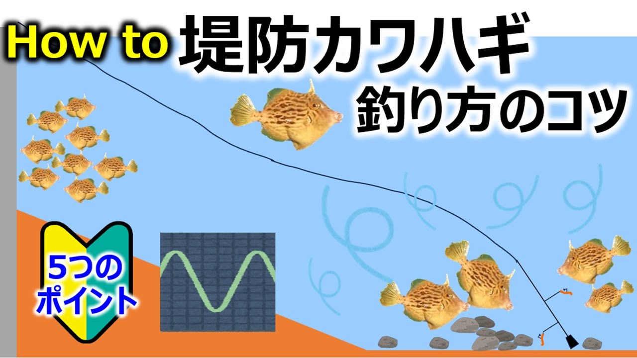【堤防カワハギ】釣り方のコツ ～5つのポイント～