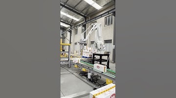 Robotic Palletizing System Entry-Level Robot Palletizer end of  case packing line #roboticpalletizer
