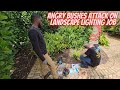 Landscape lighting job goes sideways when two electricians get injured from nature's barbed wire.