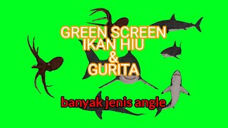 Greenscreen ikan hiu dan gurita