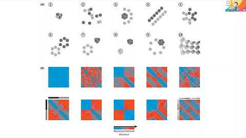 QSJC #3: Representational Geometry (Kriegeskorte & Kievit, 2013)