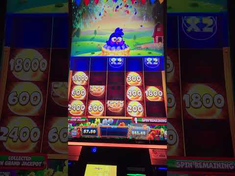 Uncovering the Wild Incident at Red Rock Casino You Wont Believe What Happened