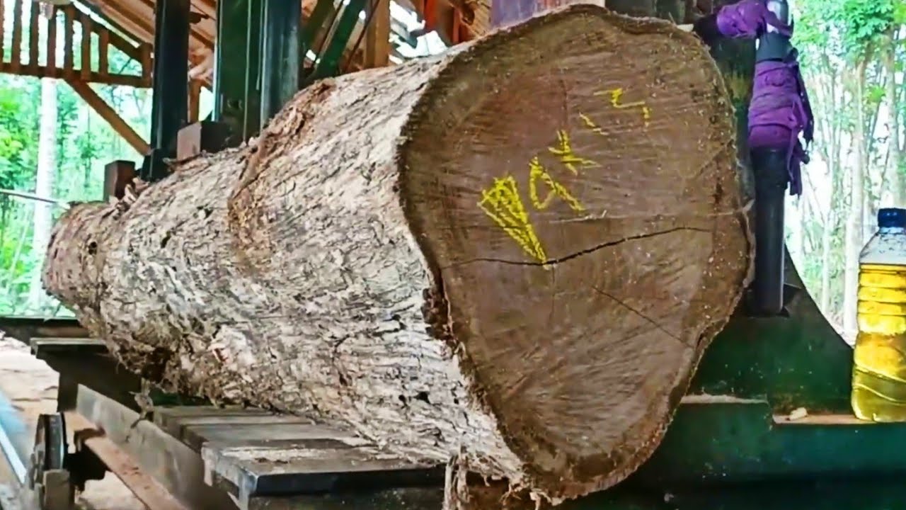 surprising discovery while sawing old teak logs at the sawmill - YouTube