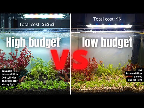 CHEAP AQUARIUM💰 VS EXPENSIVE AQUARIUM💰💰💰WILL IT MAKE A BIG DIFFERENCE?