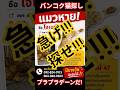 【バンコク猫探し】
