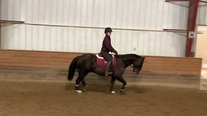 Winston Under Saddle