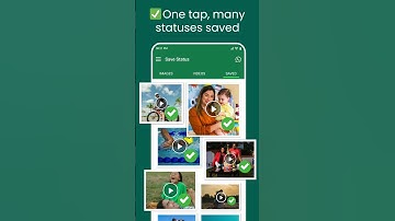 Save Status | Status Downloader | All-in-One Status Tool