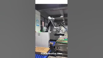 Robot bốc xếp hàng hóa