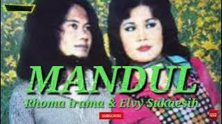 MANDUL. RHOMA IRAMA & ELVY SUKAESIH ( lirik )