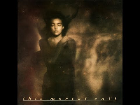 This Mortal Coil -- "Kangaroo" (2011 remaster)